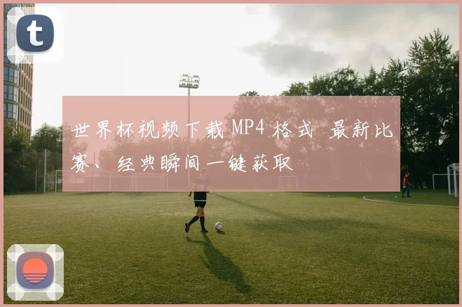 世界杯视频下载 MP4 格式 最新比赛、经典瞬间一键获取